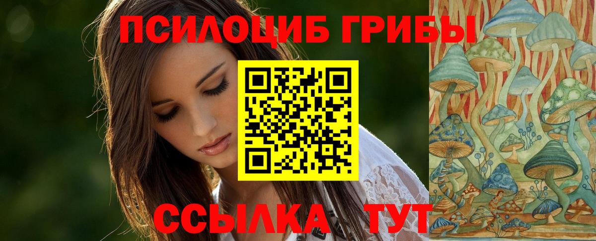 Кстово  Псилоцибиновые грибы Cubensis  Вход с VPN 